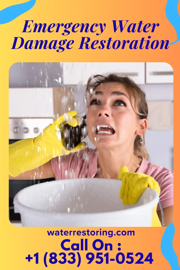 Emergency Water Damage Restoration in Cave City, KY
