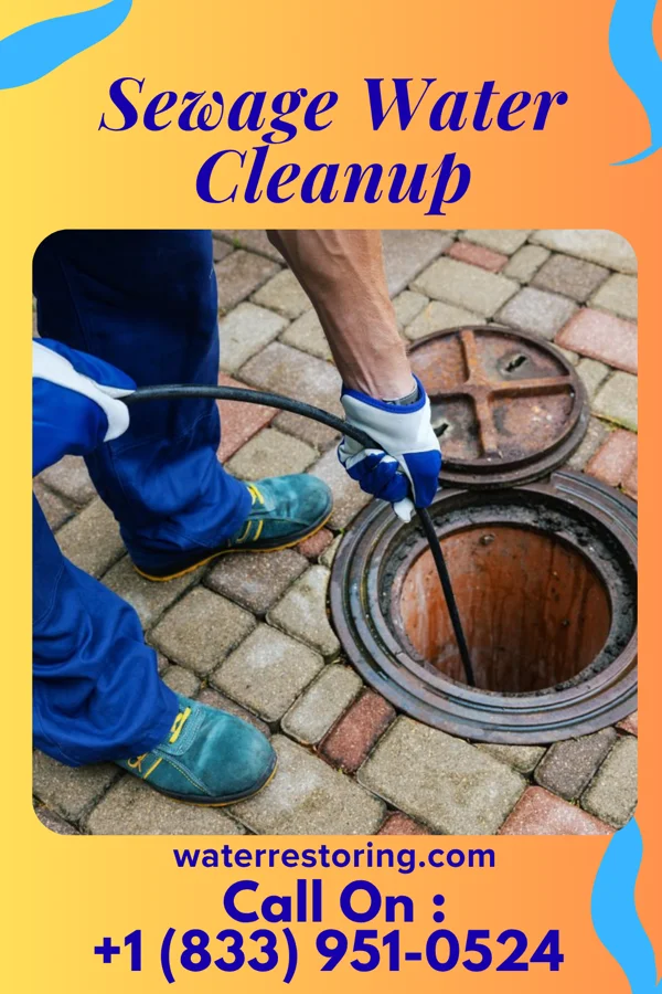 Sewage Water Cleanup in Cave City, KY