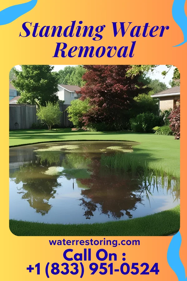 Standing Water Removal in Cave City, KY